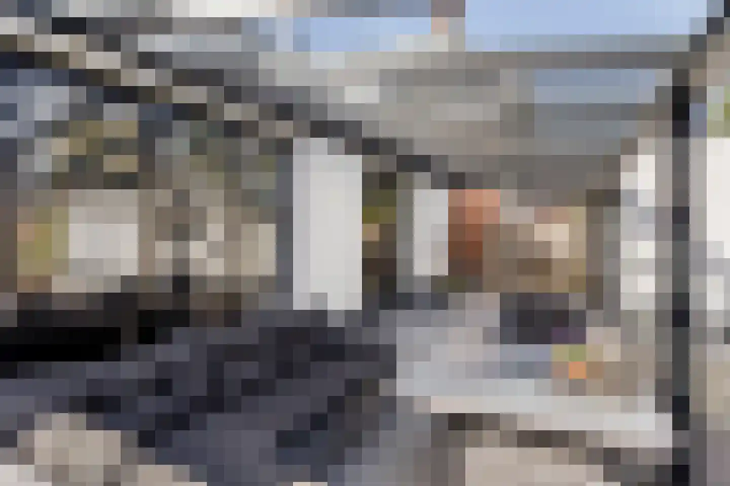 Blijhamsterstraat 50 Winschoten thumbnail 65