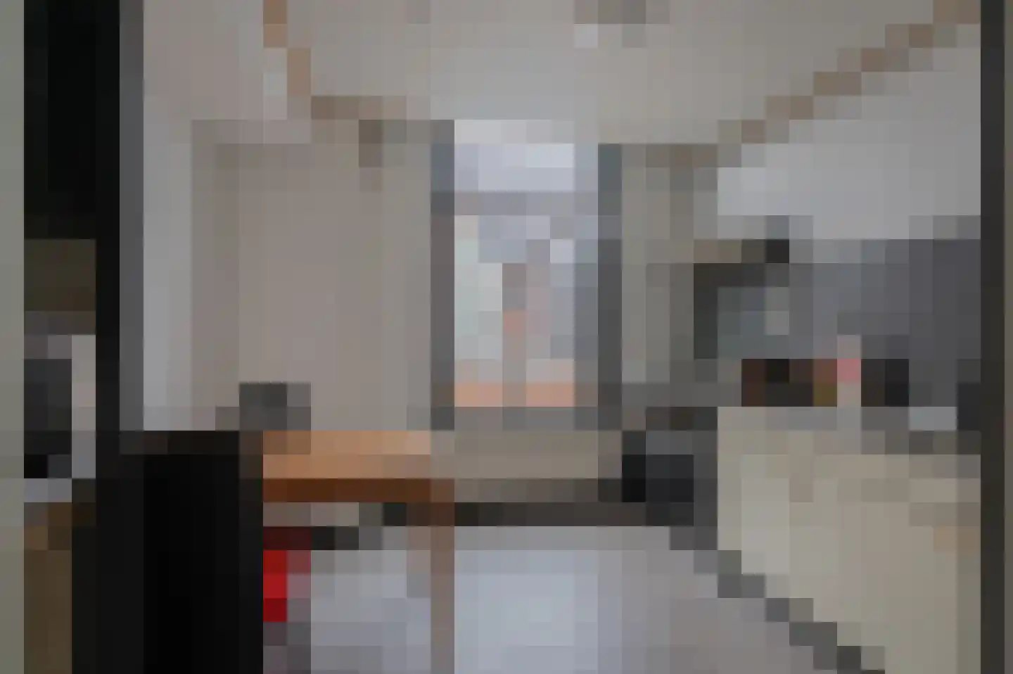 Blijhamsterweg 17 Winschoten thumbnail 13