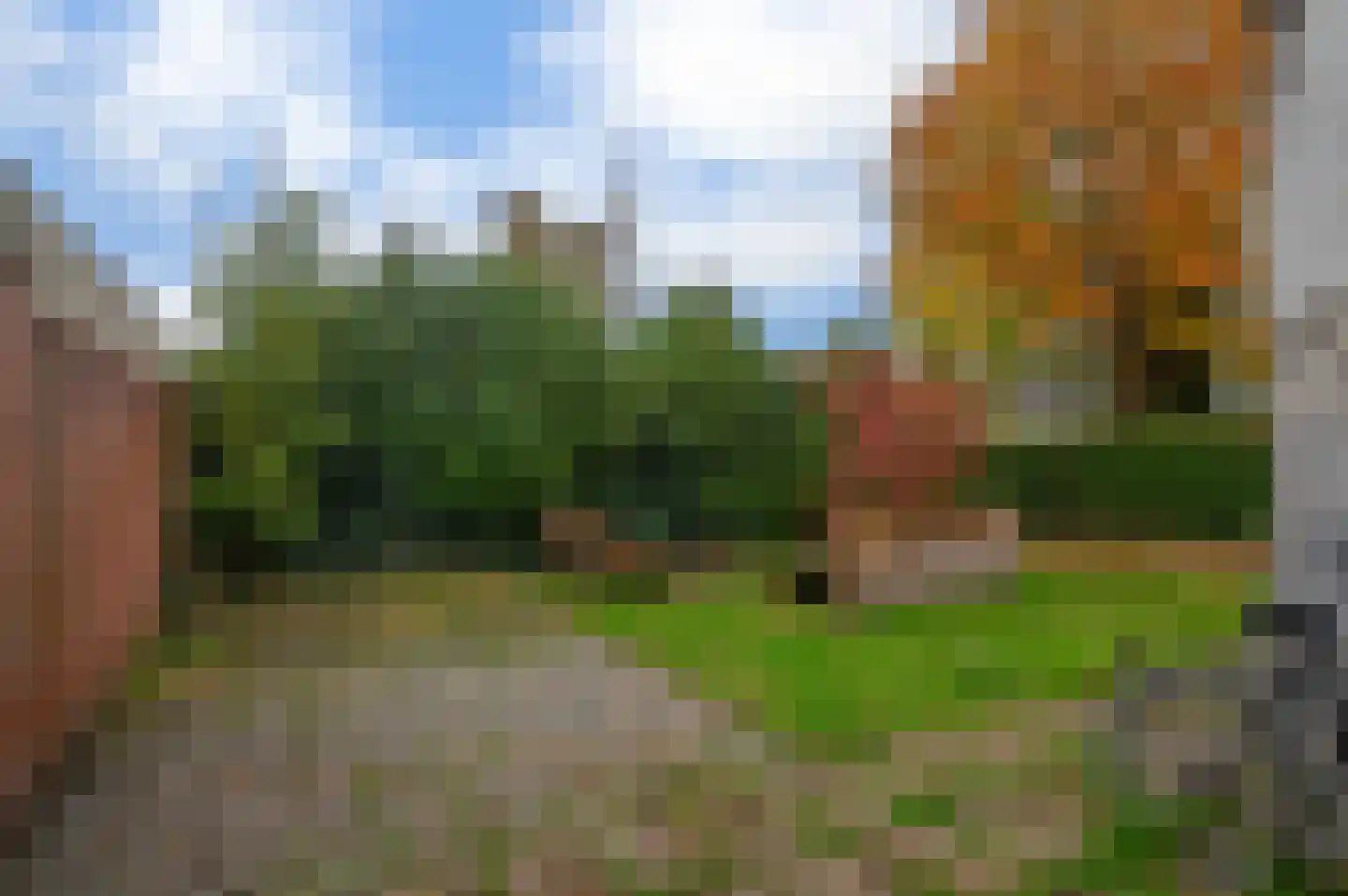 Blijhamsterweg 17 Winschoten thumbnail 23