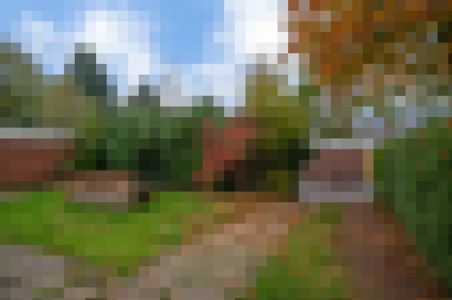 Blijhamsterweg 17 Winschoten thumbnail 25