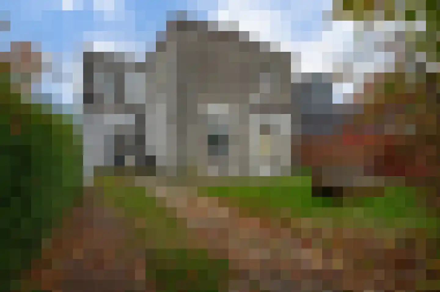 Blijhamsterweg 17 Winschoten thumbnail 27