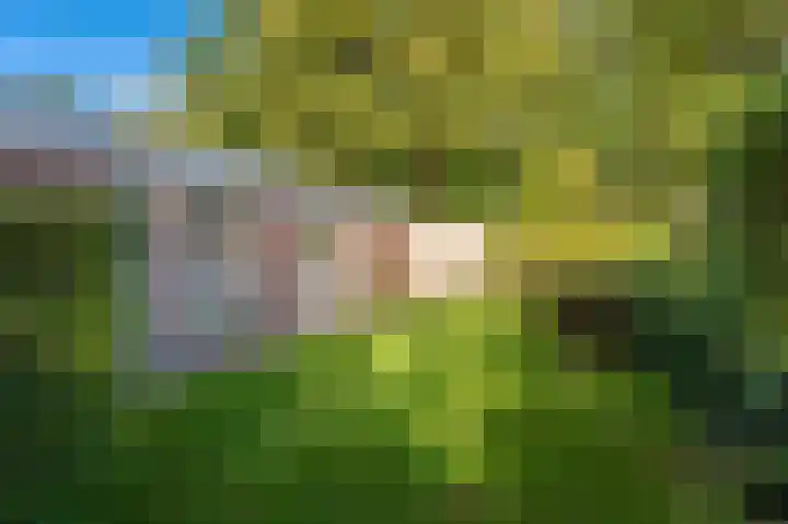 Blijhamsterweg 20 Bellingwolde thumbnail 10
