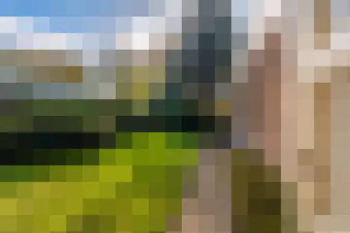 Blijhamsterweg 20 Bellingwolde thumbnail 12