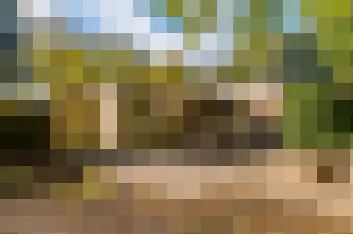 Blijhamsterweg 20 Bellingwolde thumbnail 14