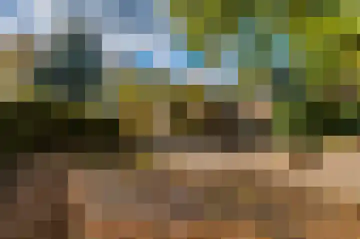 Blijhamsterweg 20 Bellingwolde thumbnail 15