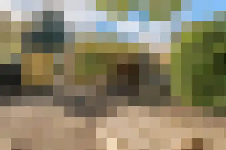 Blijhamsterweg 20 Bellingwolde thumbnail 16