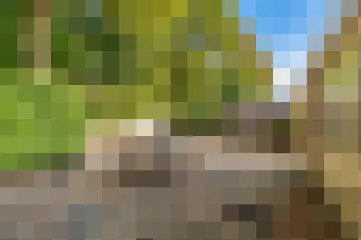 Blijhamsterweg 20 Bellingwolde thumbnail 17