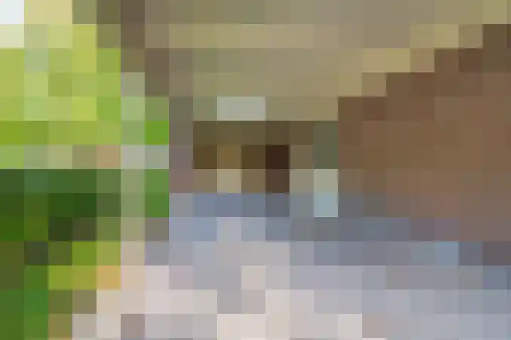 Blijhamsterweg 20 Bellingwolde thumbnail 19