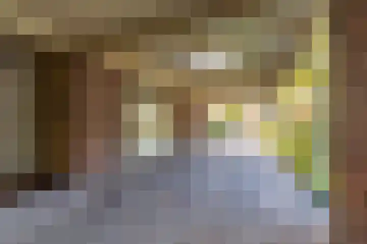 Blijhamsterweg 20 Bellingwolde thumbnail 20