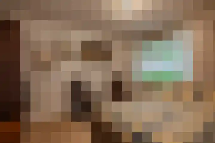 Blijhamsterweg 20 Bellingwolde thumbnail 32