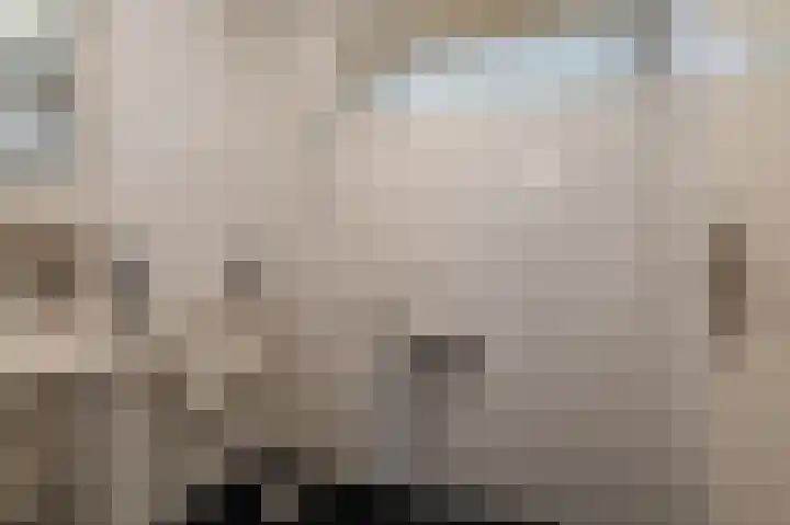Blijhamsterweg 20 Bellingwolde thumbnail 38