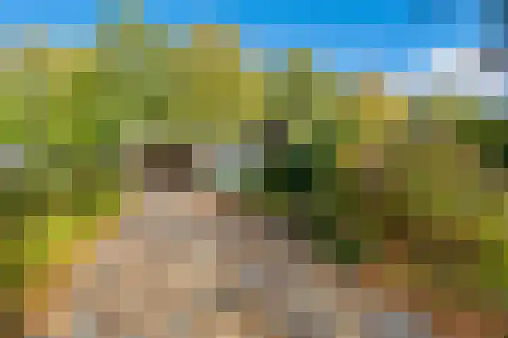Blijhamsterweg 20 Bellingwolde thumbnail 4