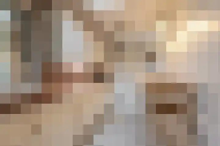 Blijhamsterweg 20 Bellingwolde thumbnail 41