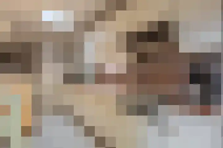 Blijhamsterweg 20 Bellingwolde thumbnail 42