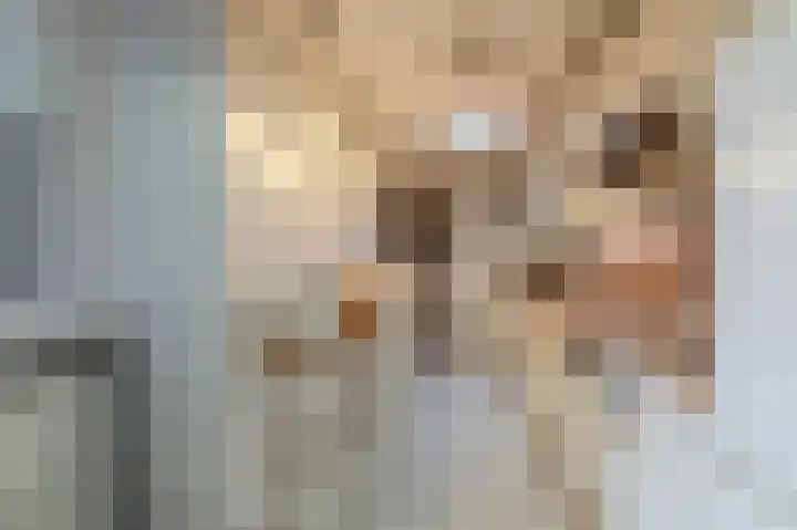 Blijhamsterweg 20 Bellingwolde thumbnail 43