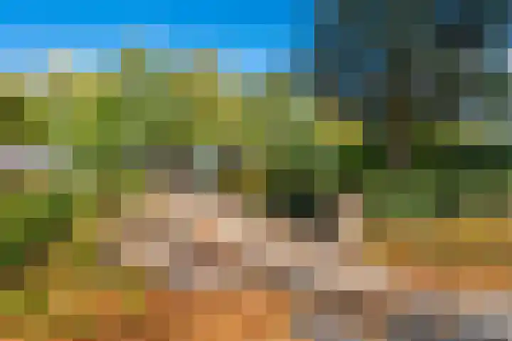 Blijhamsterweg 20 Bellingwolde thumbnail 5