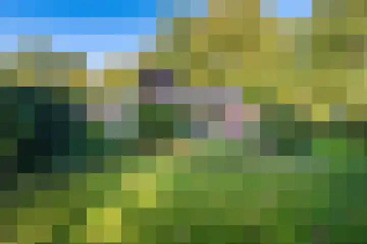 Blijhamsterweg 20 Bellingwolde thumbnail 6