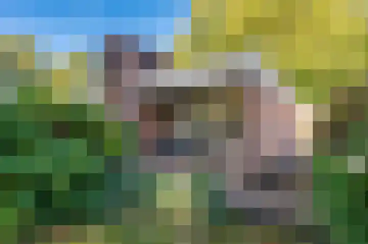 Blijhamsterweg 20 Bellingwolde thumbnail 7