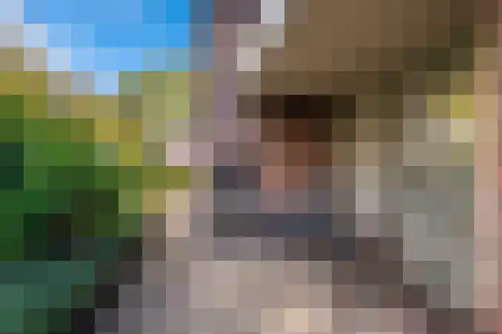 Blijhamsterweg 20 Bellingwolde thumbnail 8