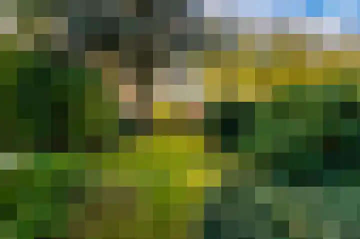 Blijhamsterweg 20 Bellingwolde thumbnail 9