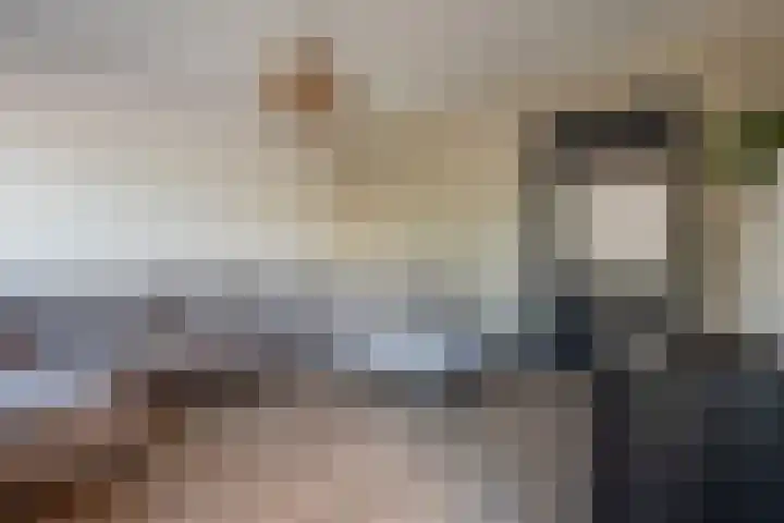 Blijhamsterweg 21 Winschoten thumbnail 10