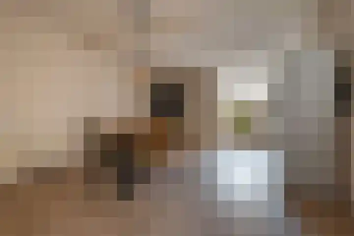 Blijhamsterweg 21 Winschoten thumbnail 11