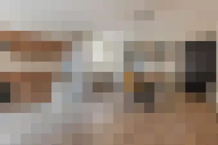 Blijhamsterweg 21 Winschoten thumbnail 12