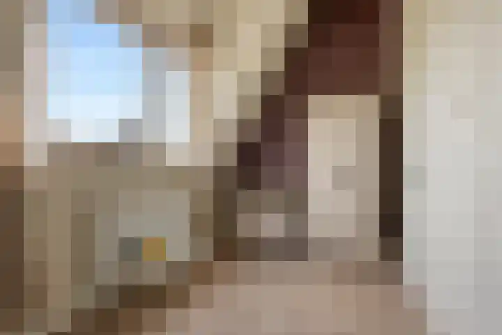 Blijhamsterweg 21 Winschoten thumbnail 21