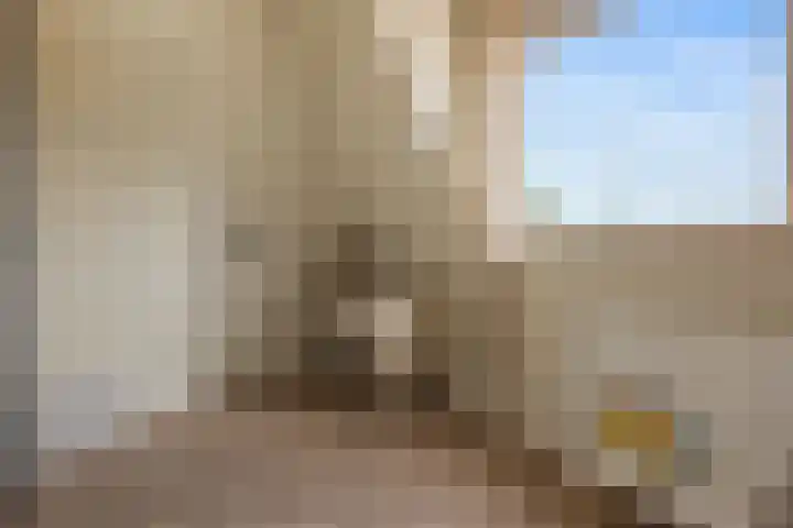 Blijhamsterweg 21 Winschoten thumbnail 22