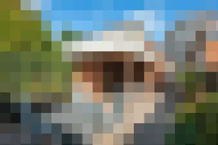 Blijhamsterweg 21 Winschoten thumbnail 26
