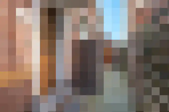 Blijhamsterweg 21 Winschoten thumbnail 30