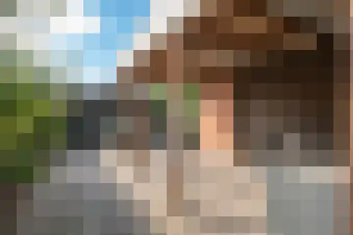 Blijhamsterweg 21 Winschoten thumbnail 5