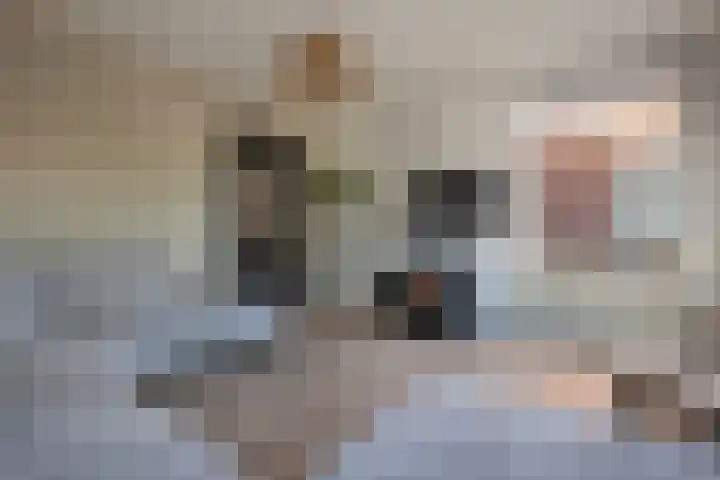 Blijhamsterweg 21 Winschoten thumbnail 9