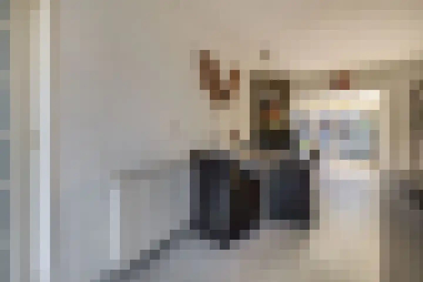 Blijhamsterweg 32 Winschoten thumbnail 11