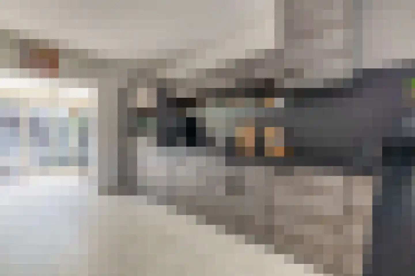 Blijhamsterweg 32 Winschoten thumbnail 12