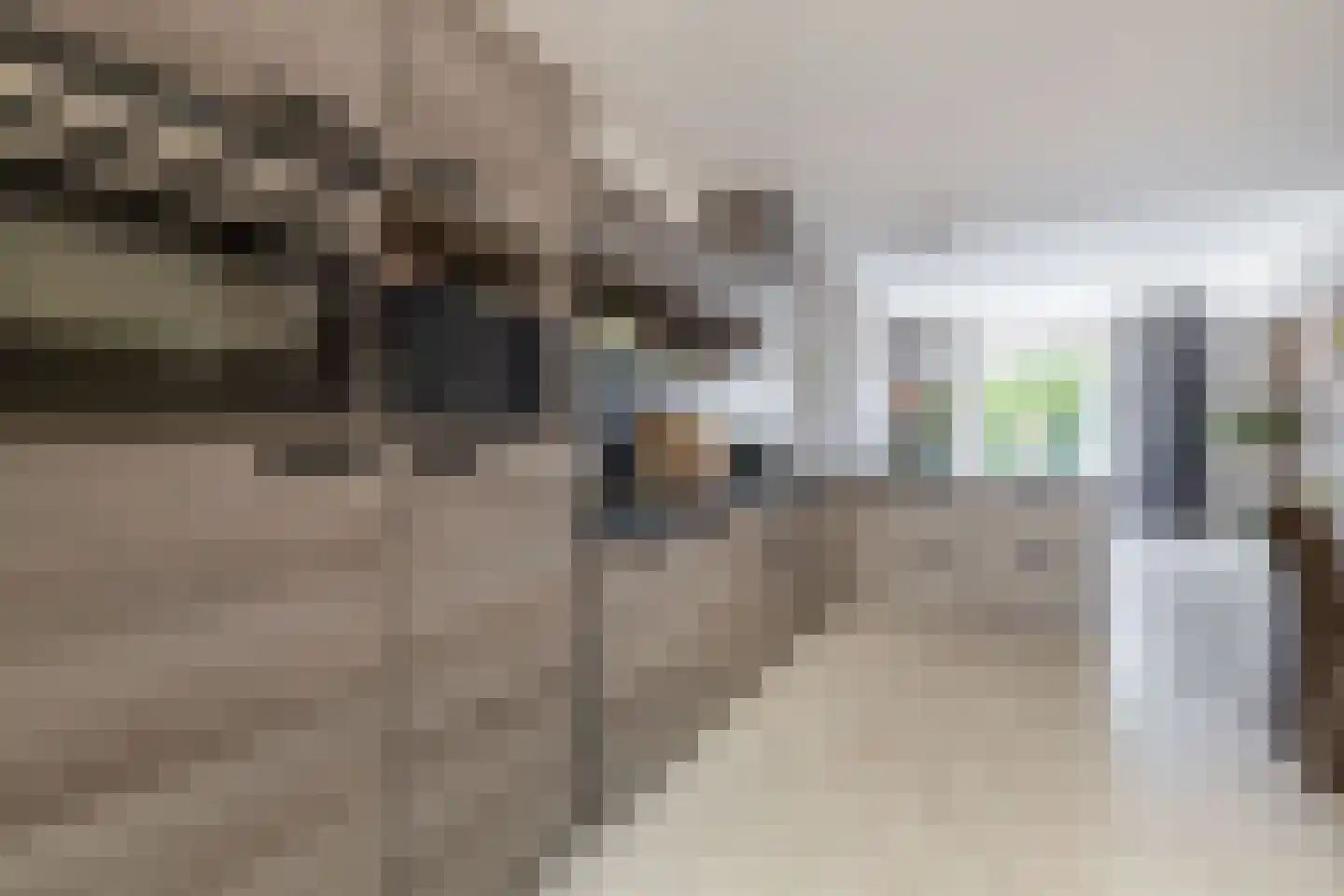 Blijhamsterweg 32 Winschoten thumbnail 13