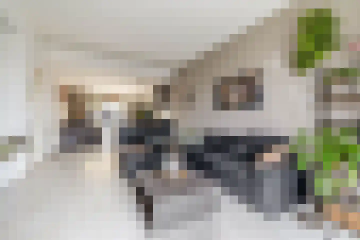Blijhamsterweg 32 Winschoten thumbnail 14