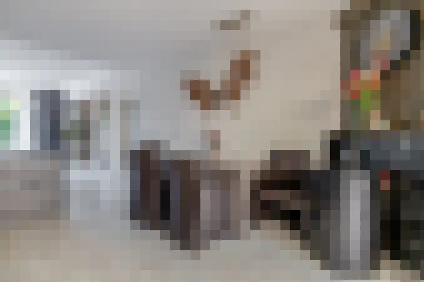Blijhamsterweg 32 Winschoten thumbnail 14