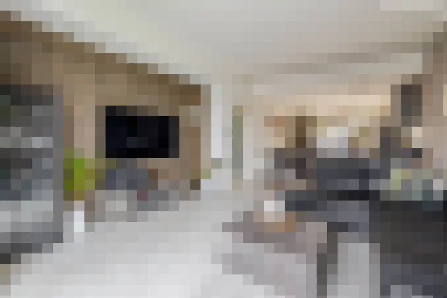 Blijhamsterweg 32 Winschoten thumbnail 15
