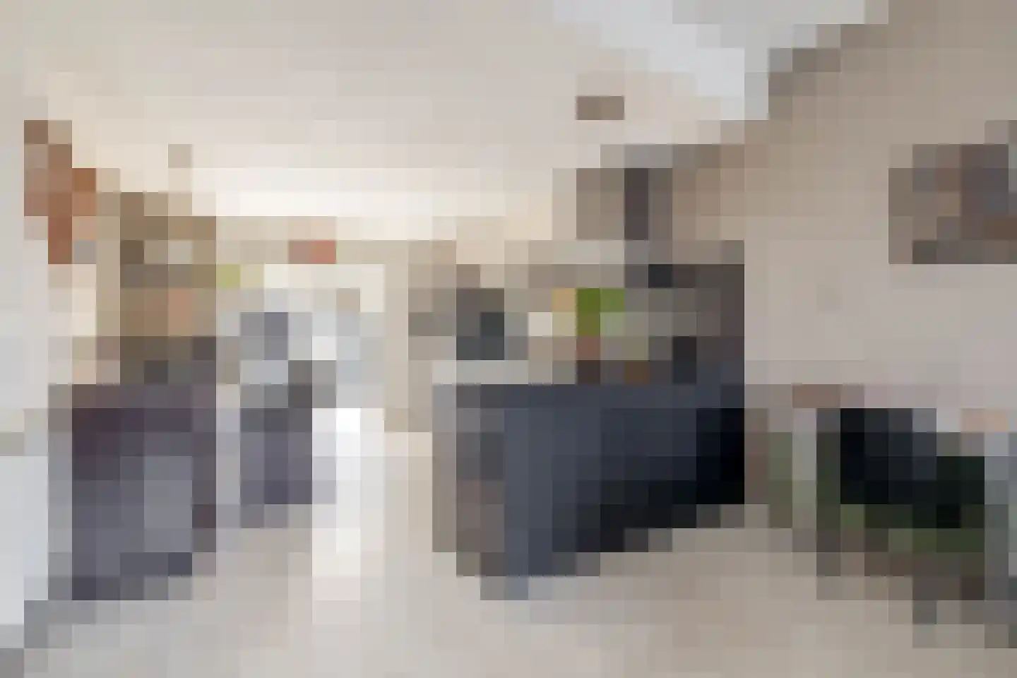 Blijhamsterweg 32 Winschoten thumbnail 16