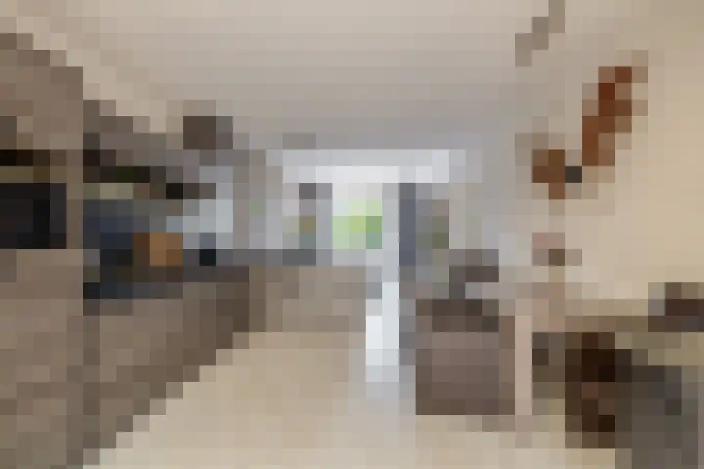 Blijhamsterweg 32 Winschoten thumbnail 18