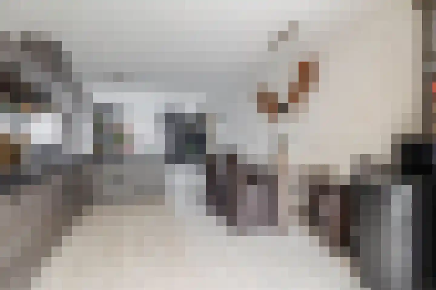 Blijhamsterweg 32 Winschoten thumbnail 19