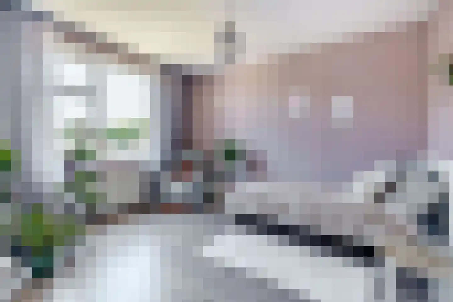 Blijhamsterweg 32 Winschoten thumbnail 31