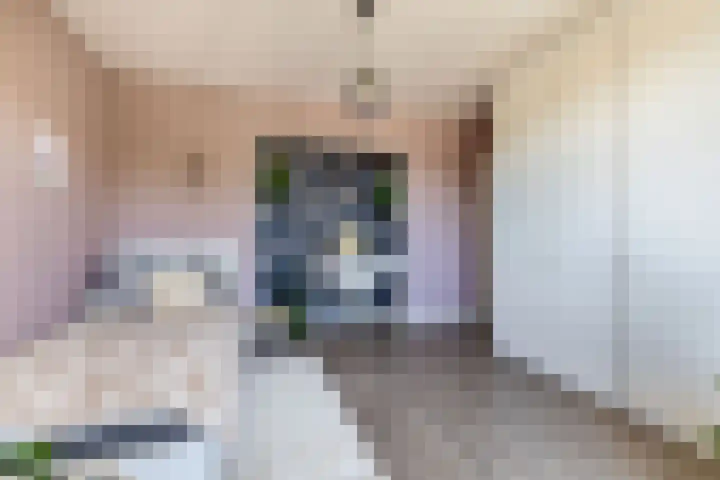 Blijhamsterweg 32 Winschoten thumbnail 32