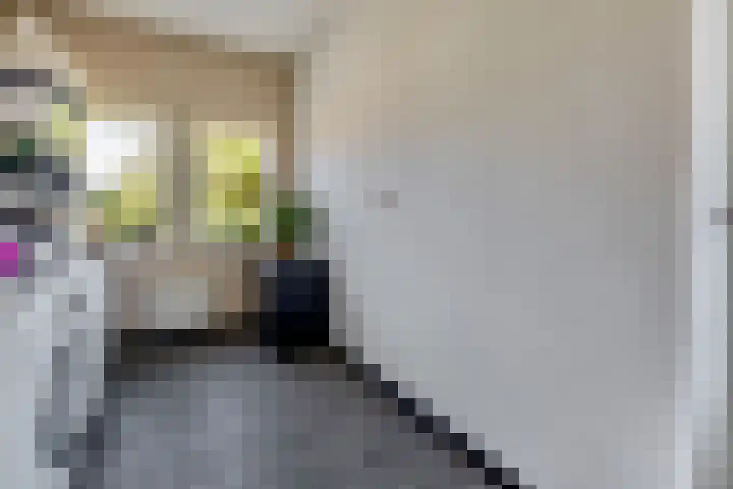 Blijhamsterweg 32 Winschoten thumbnail 33
