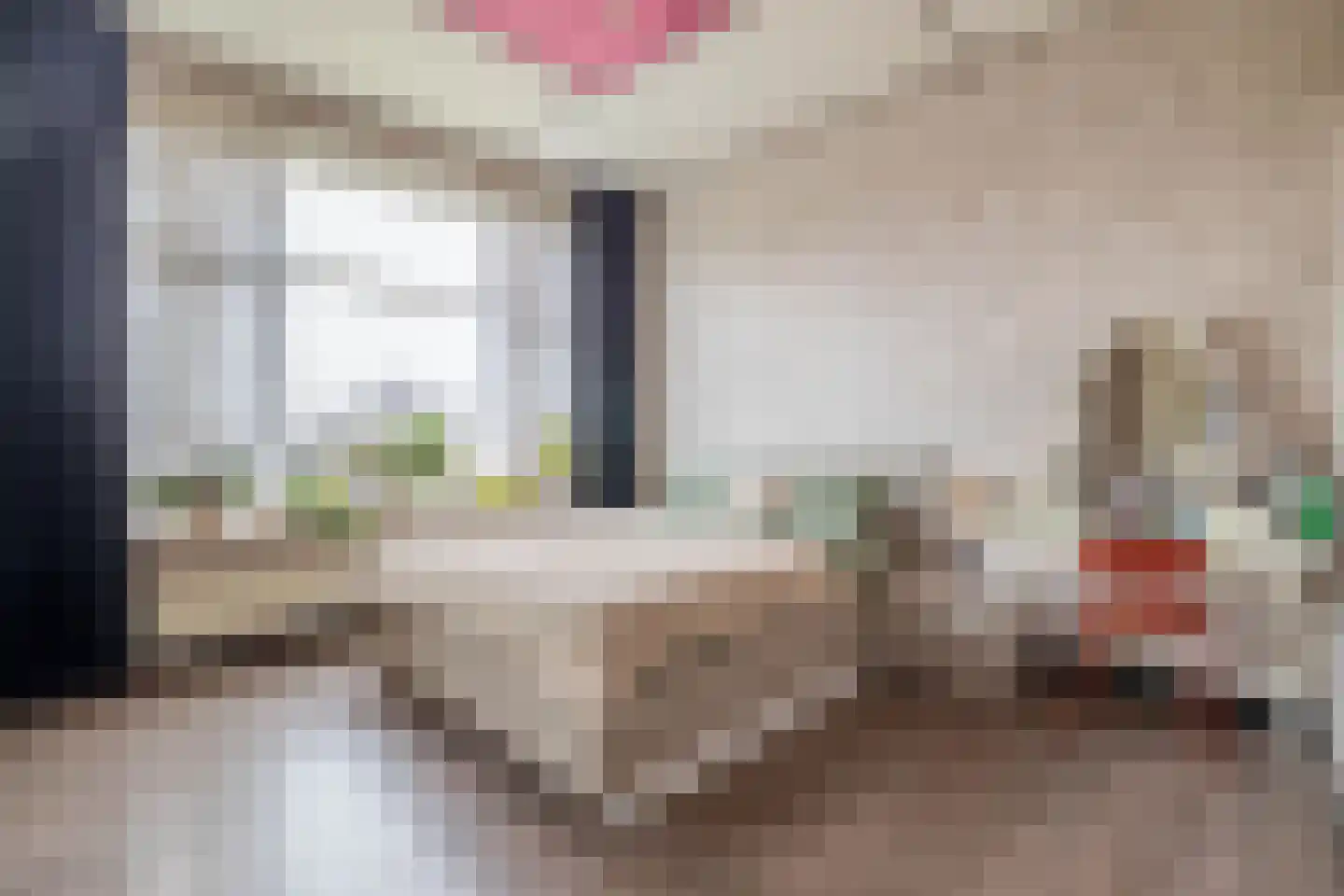 Blijhamsterweg 32 Winschoten thumbnail 33