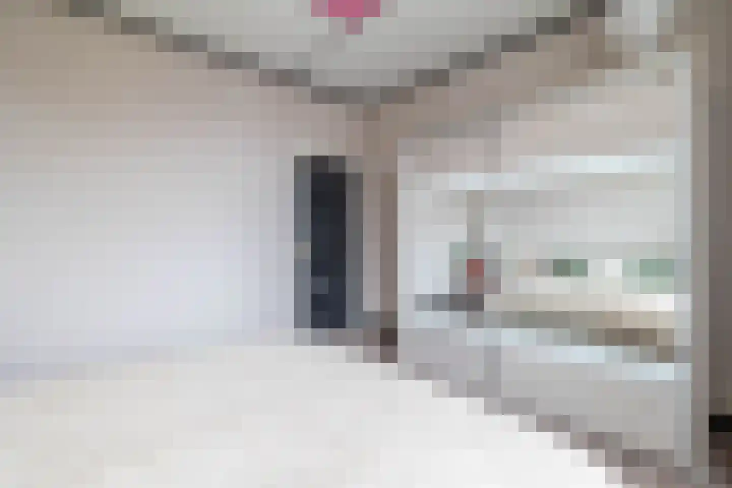 Blijhamsterweg 32 Winschoten thumbnail 35