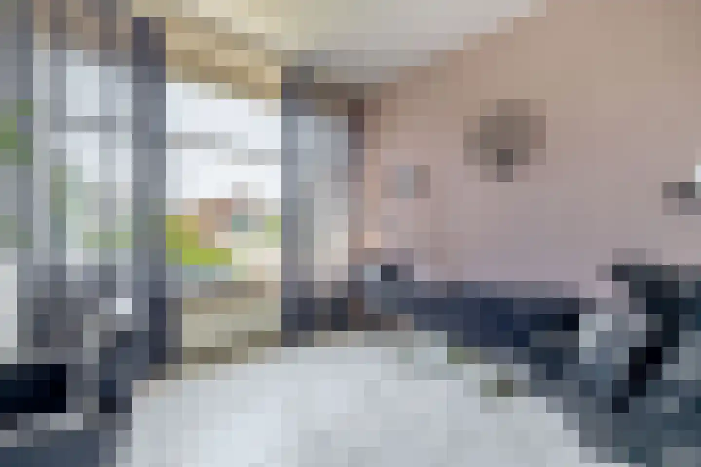 Blijhamsterweg 32 Winschoten thumbnail 35