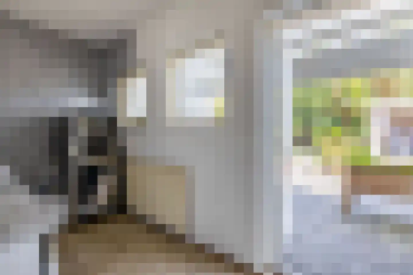 Blijhamsterweg 32 Winschoten thumbnail 39