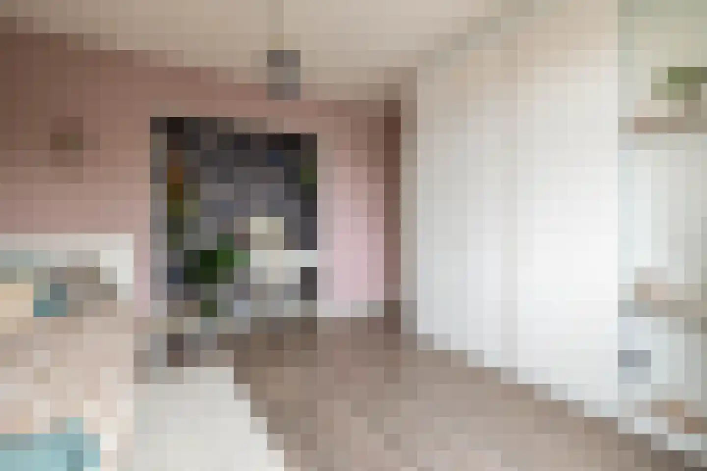 Blijhamsterweg 32 Winschoten thumbnail 43